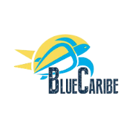 Blue Caribe Tours FR