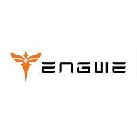 Engwe-bikes